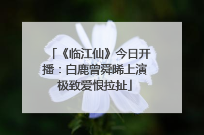 《临江仙》今日开播：白鹿曾舜晞上演极致爱恨拉扯