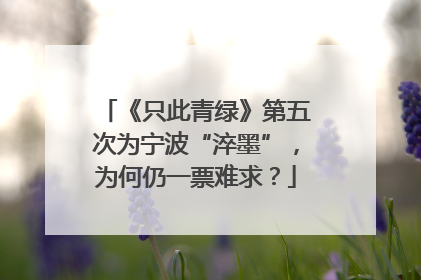 《只此青绿》第五次为宁波“淬墨”，为何仍一票难求？