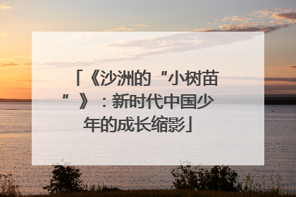 《沙洲的“小树苗”》：新时代中国少年的成长缩影