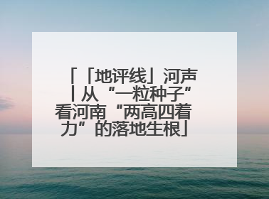 「地评线」河声丨从“一粒种子”看河南“两高四着力”的落地生根