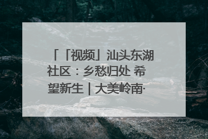 「视频」汕头东湖社区：乡愁归处 希望新生｜大美岭南·百村焕新记