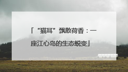 “猫耳”飘散荷香：一座江心岛的生态蜕变