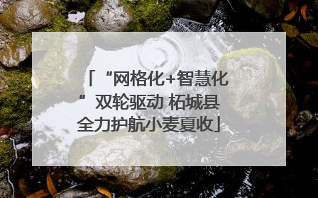 “网格化+智慧化”双轮驱动 柘城县全力护航小麦夏收