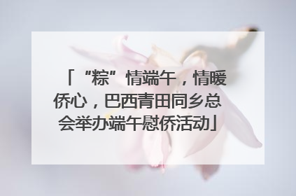 “粽”情端午，情暖侨心，巴西青田同乡总会举办端午慰侨活动