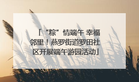 “粽”情端午 幸福邻里！燕罗街道罗田社区开展端午游园活动