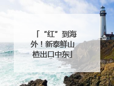 “红”到海外！新泰鲜山楂出口中东