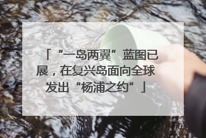 “一岛两翼”蓝图已展，在复兴岛面向全球发出“杨浦之约”