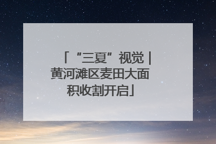 “三夏”视觉｜黄河滩区麦田大面积收割开启