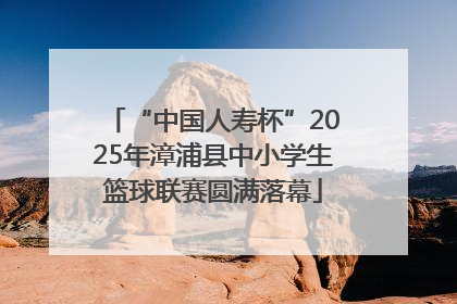 “中国人寿杯”2025年漳浦县中小学生篮球联赛圆满落幕