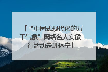“中国式现代化的万千气象”网络名人安徽行活动走进休宁