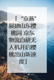 “京燕”展翅山东樱桃园 京东物流自研无人机开启樱桃出山新速度