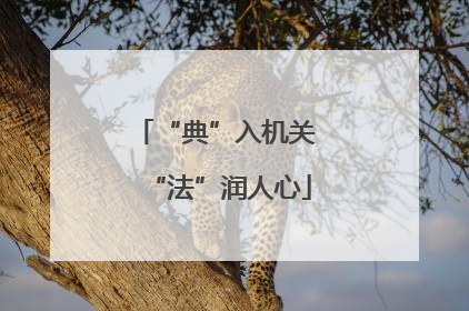 “典”入机关 “法”润人心