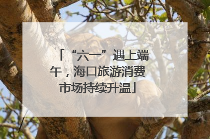 “六一”遇上端午，海口旅游消费市场持续升温