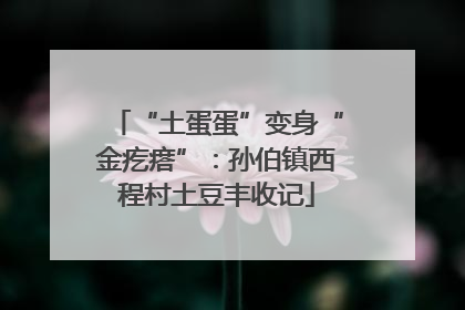 “土蛋蛋”变身“金疙瘩”：孙伯镇西程村土豆丰收记