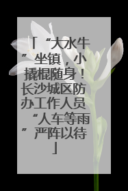 “大水牛”坐镇，小撬棍随身！长沙城区防办工作人员“人车等雨”严阵以待
