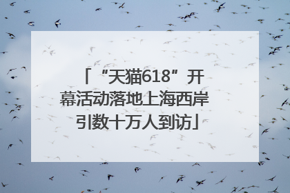 “天猫618”开幕活动落地上海西岸 引数十万人到访