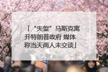 “失望”马斯克离开特朗普政府 媒体称当天两人未交谈