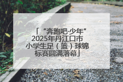 “奔跑吧·少年”2025年丹江口市小学生足（篮）球锦标赛圆满落幕