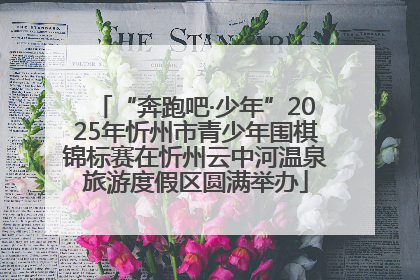 “奔跑吧·少年”2025年忻州市青少年围棋锦标赛在忻州云中河温泉旅游度假区圆满举办