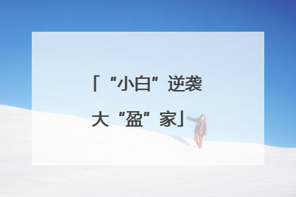 “小白”逆袭大“盈”家