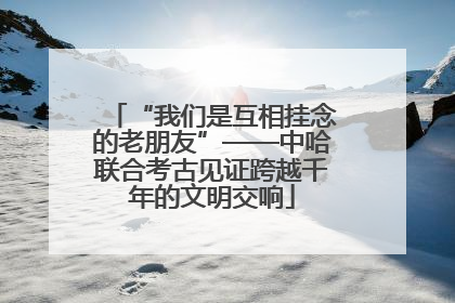 “我们是互相挂念的老朋友”——中哈联合考古见证跨越千年的文明交响