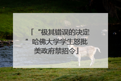 “极其错误的决定”哈佛大学学生怒批美政府禁招令
