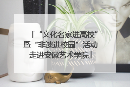 “文化名家进高校”暨“非遗进校园”活动走进安徽艺术学院