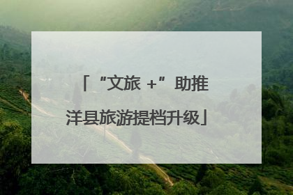 “文旅 +”助推洋县旅游提档升级