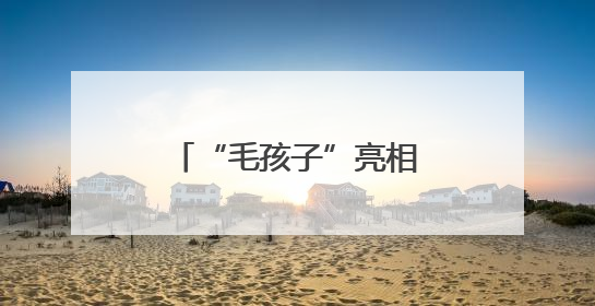 “毛孩子”亮相福州这里！还有很多福利……