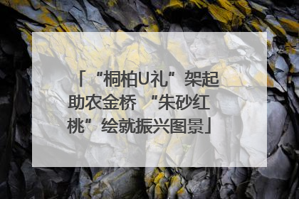 “桐柏U礼”架起助农金桥 “朱砂红桃”绘就振兴图景