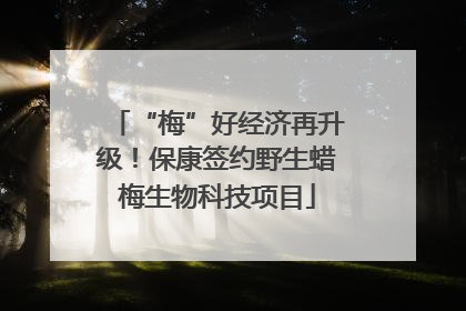 “梅”好经济再升级！保康签约野生蜡梅生物科技项目