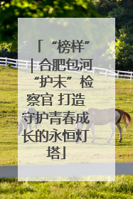 “榜样”｜合肥包河“护未”检察官 打造守护青春成长的永恒灯塔