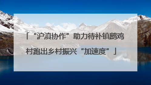 “沪滇协作”助力待补镇鹧鸡村跑出乡村振兴“加速度”