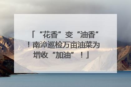 “花香”变“油香”！南漳巡检万亩油菜为增收“加油”！