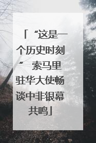 “这是一个历史时刻” 索马里驻华大使畅谈中非银幕共鸣