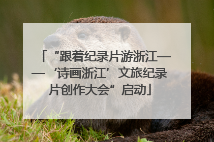 “跟着纪录片游浙江——‘诗画浙江’文旅纪录片创作大会”启动