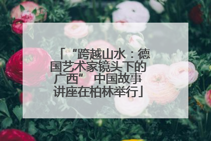 “跨越山水：德国艺术家镜头下的广西” 中国故事讲座在柏林举行