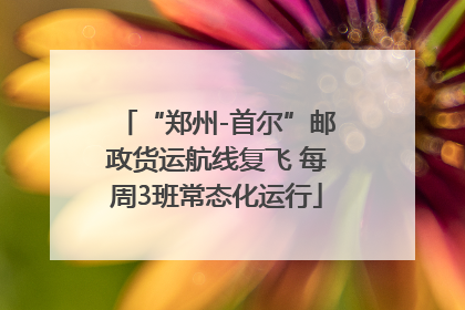“郑州-首尔”邮政货运航线复飞 每周3班常态化运行