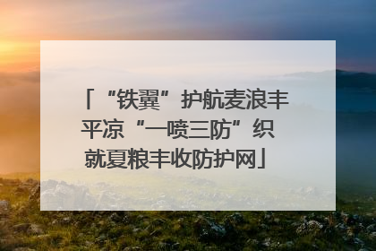 “铁翼”护航麦浪丰 平凉“一喷三防”织就夏粮丰收防护网