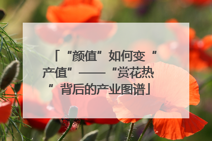 “颜值”如何变“产值”——“赏花热”背后的产业图谱