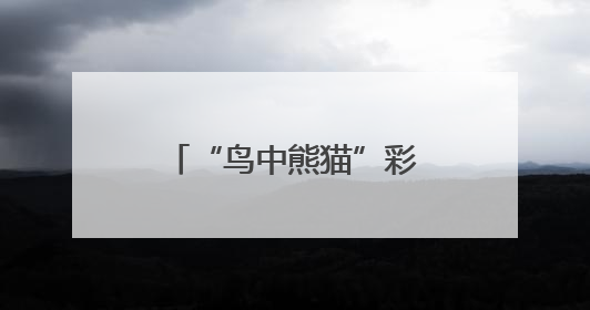 “鸟中熊猫”彩鹮定居孝感，去年仅观测到1只，而今年全家齐现身