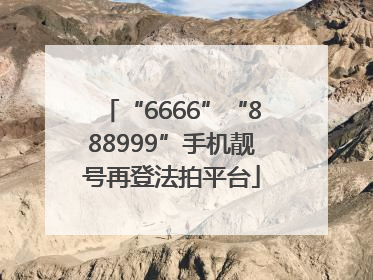“6666”“888999”手机靓号再登法拍平台