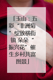 玉山：五彩“非洲菊”绽放横街镇 朵朵“振兴花”催生乡村共富图景