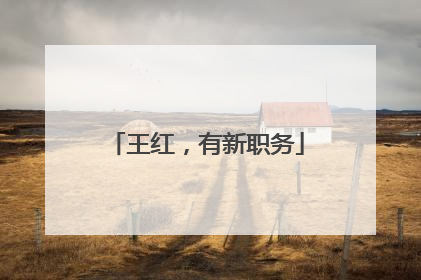 王红，有新职务