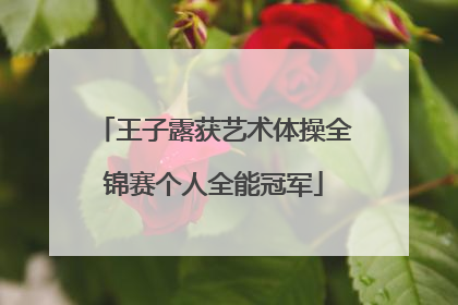 王子露获艺术体操全锦赛个人全能冠军