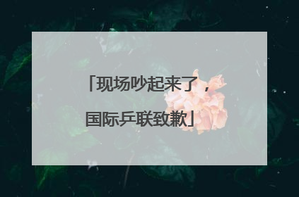 现场吵起来了，国际乒联致歉