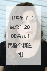 熊孩子“氪金”2000余元！民警全额追回