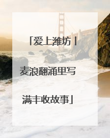 爱上潍坊丨麦浪翻涌里写满丰收故事