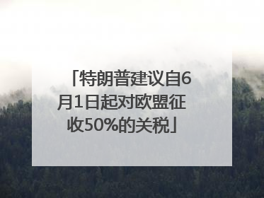 特朗普建议自6月1日起对欧盟征收50%的关税