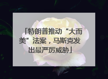 特朗普推动“大而美”法案，马斯克发出最严厉威胁